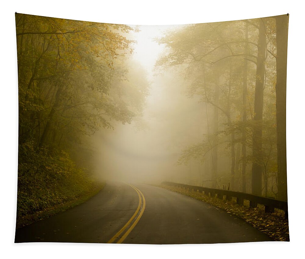 Autumn Mist Blue Ridge Parkway Tapestry featuring the photograph Autumn Mist Blue Ridge Parkway by Terry DeLuco