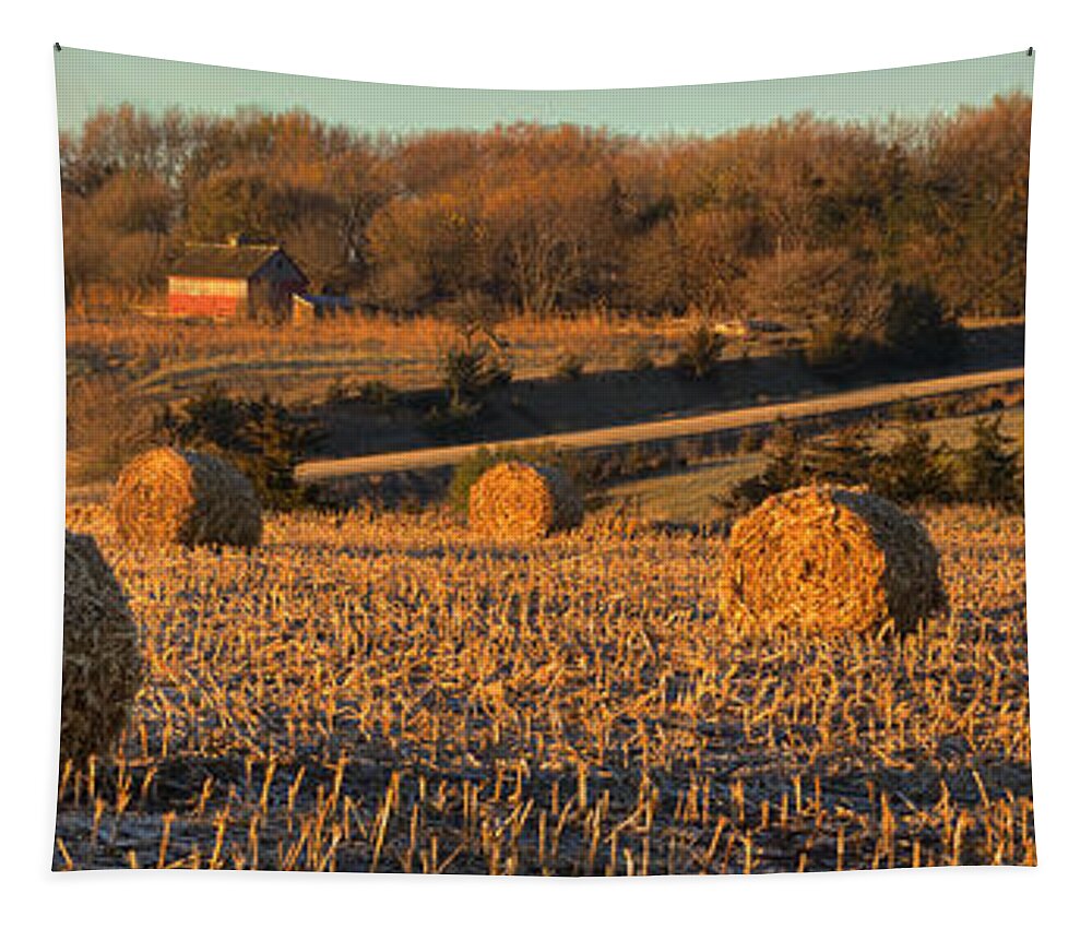 Autumn Tapestry featuring the photograph Autumn Morning Bales by Bruce Morrison