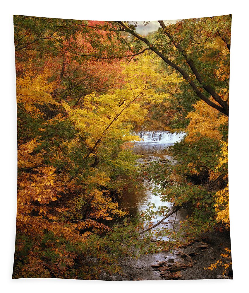 Waterfall Tapestry featuring the photograph Autumn on Display by Jessica Jenney