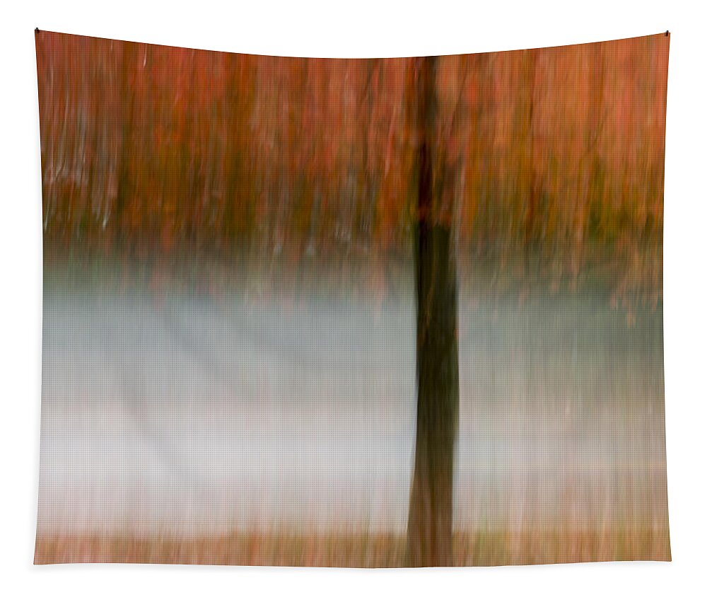 Autumn Rain Tapestry featuring the photograph Autumn Rain by Terry DeLuco