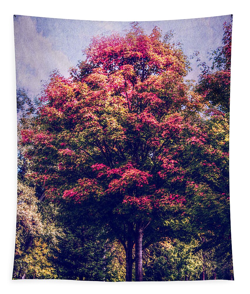 Autumn Tapestry featuring the photograph Autumn Rainbow by Melanie Lankford Photography