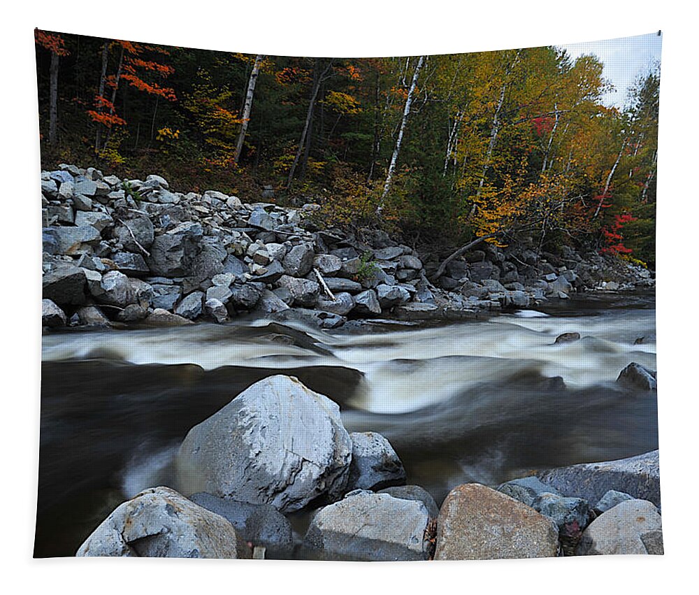 Photo Tapestry featuring the photograph Autumn Silk by Richard Gehlbach