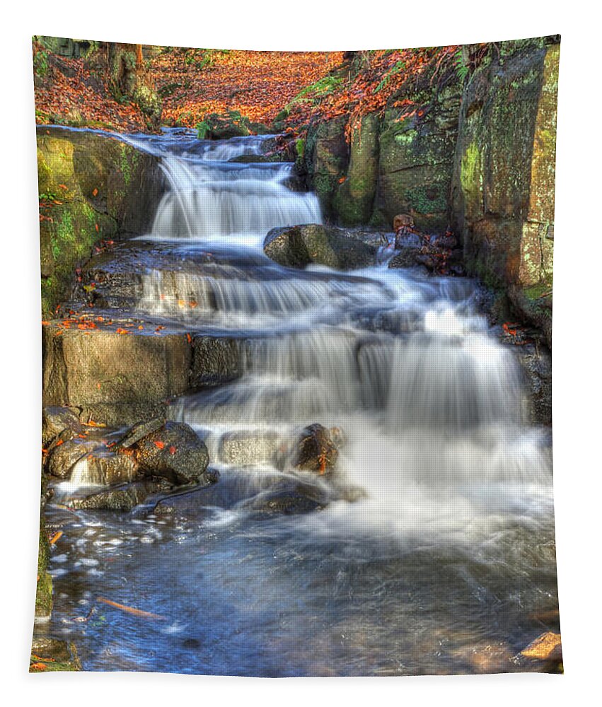 Autumn Tapestry featuring the photograph Autumn Stream by David Birchall