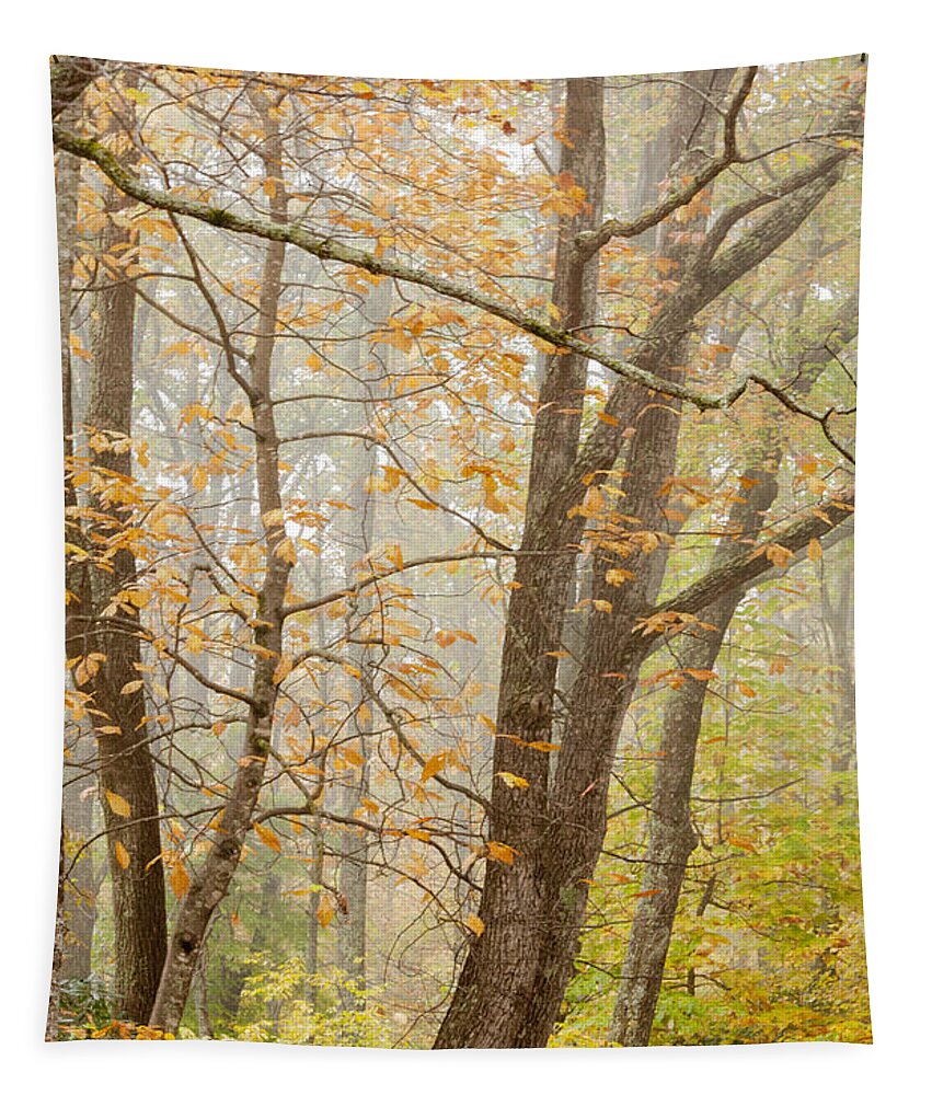 Appalacia Tapestry featuring the photograph Autumn Trees by Jo Ann Tomaselli by Jo Ann Tomaselli