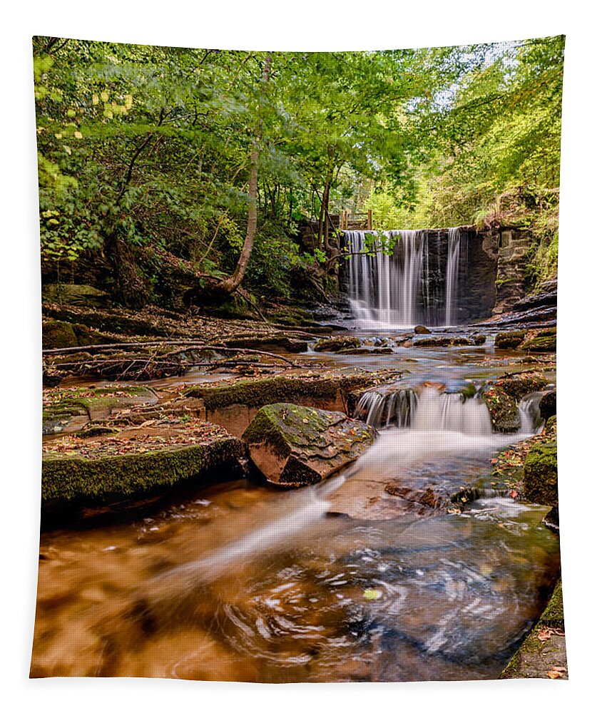Hdr Tapestry featuring the photograph Autumn Waterfall by Adrian Evans