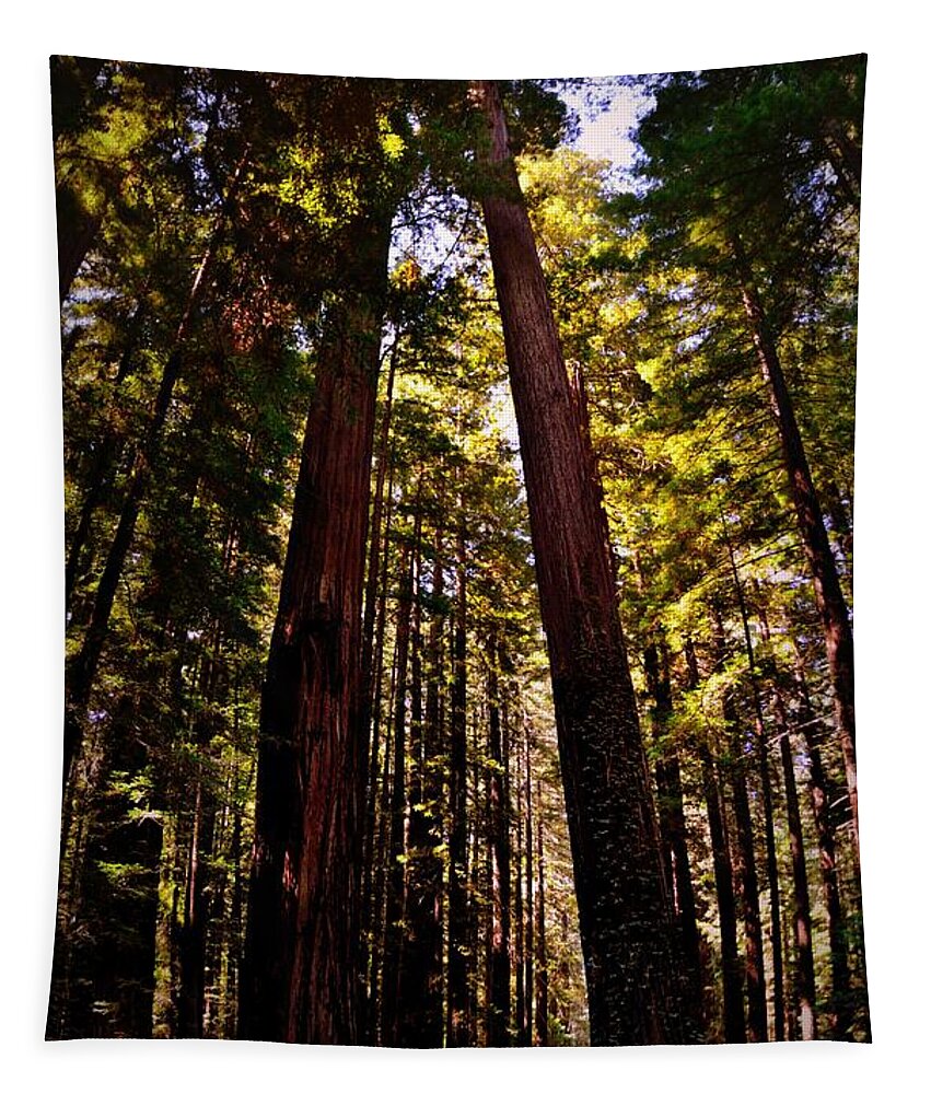 Majestic Tapestry featuring the photograph Avenue of the Giants by Michelle Calkins