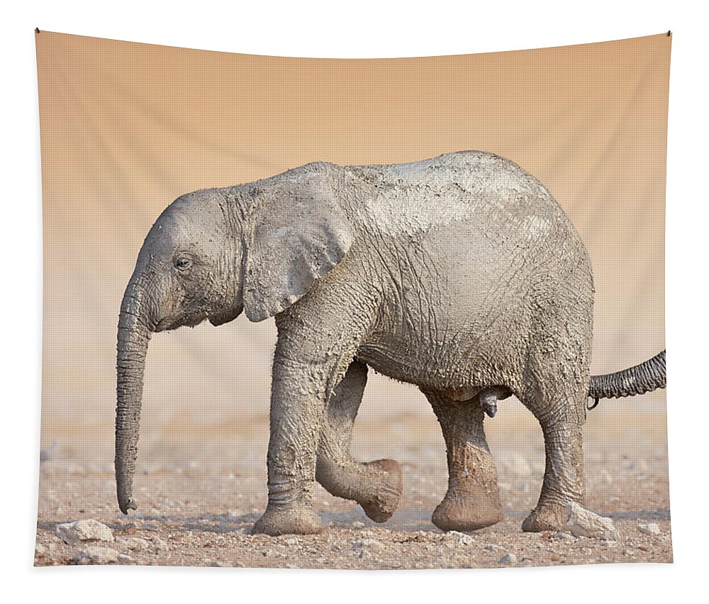Wild Tapestry featuring the photograph Baby elephant by Johan Swanepoel