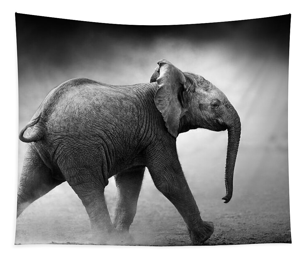 Elephant Tapestry featuring the photograph Baby Elephant running by Johan Swanepoel