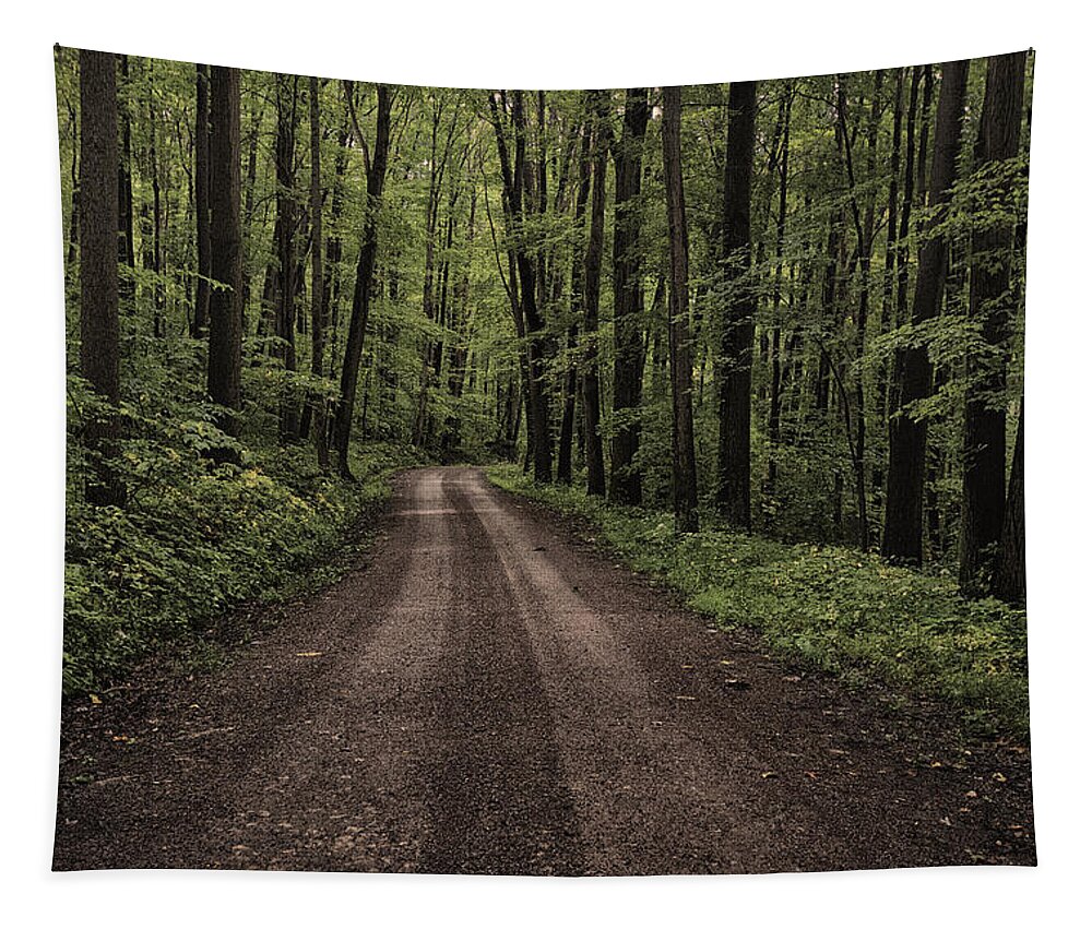 Pennsylvania Tapestry featuring the photograph Back Road by Robert Fawcett