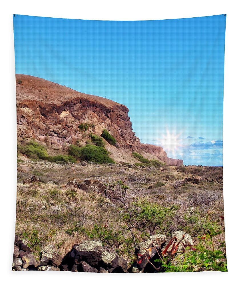 Hawaii Tapestry featuring the photograph Back Road to Hana 81 by Dawn Eshelman
