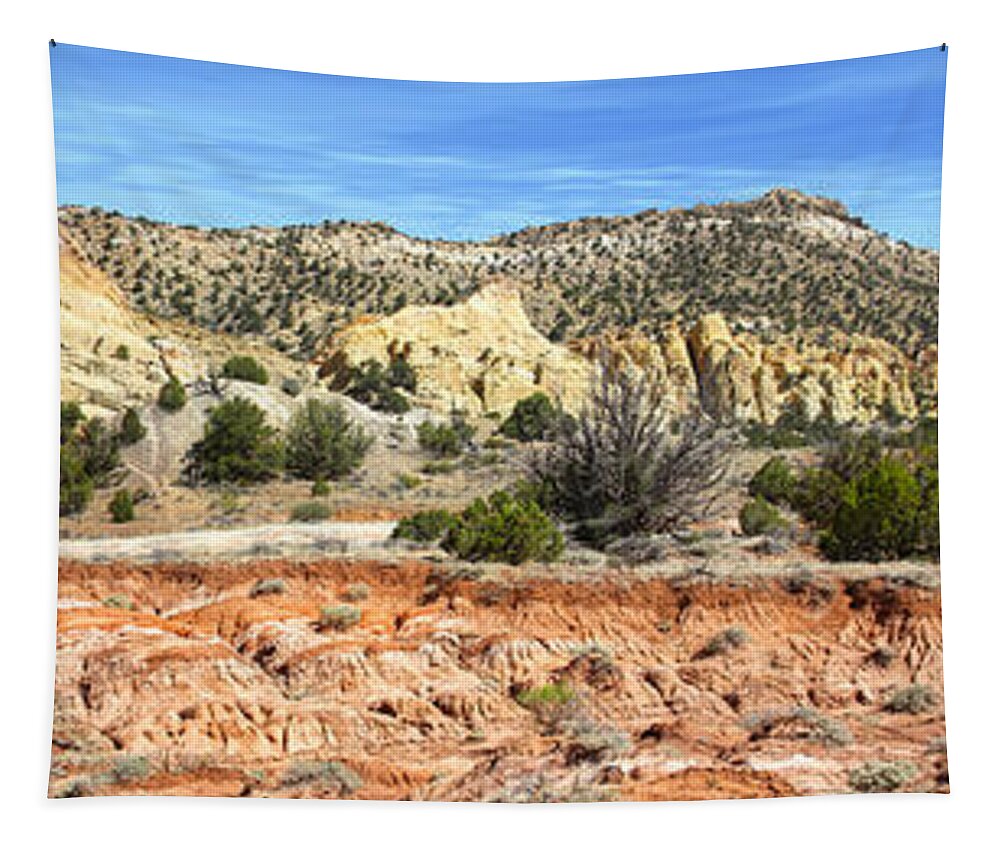 Desert Tapestry featuring the photograph Backroads Utah Panoramic by Mike McGlothlen