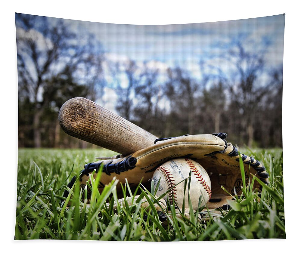 Baseball Tapestry featuring the photograph Backyard Baseball Memories by Cricket Hackmann