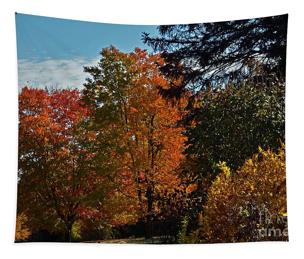 Trees Tapestry featuring the photograph Backyard Beauty by Judy Wolinsky