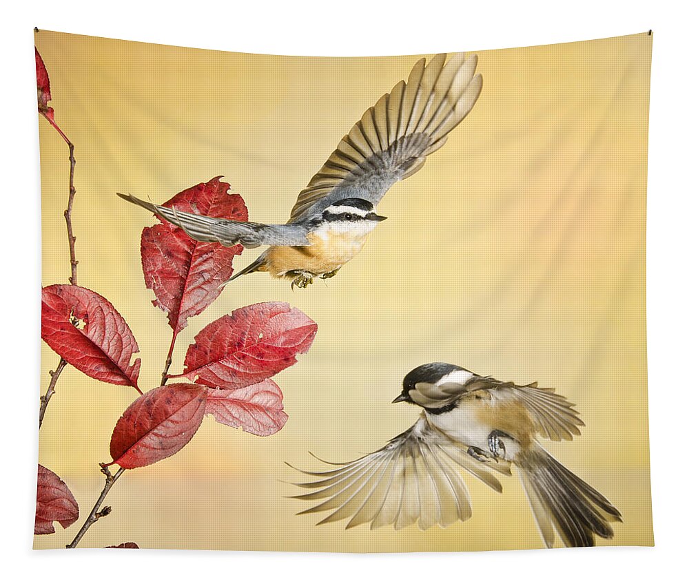 Red Breasted Nut Hatch Tapestry featuring the photograph Backyard Bird Ballet by Peg Runyan