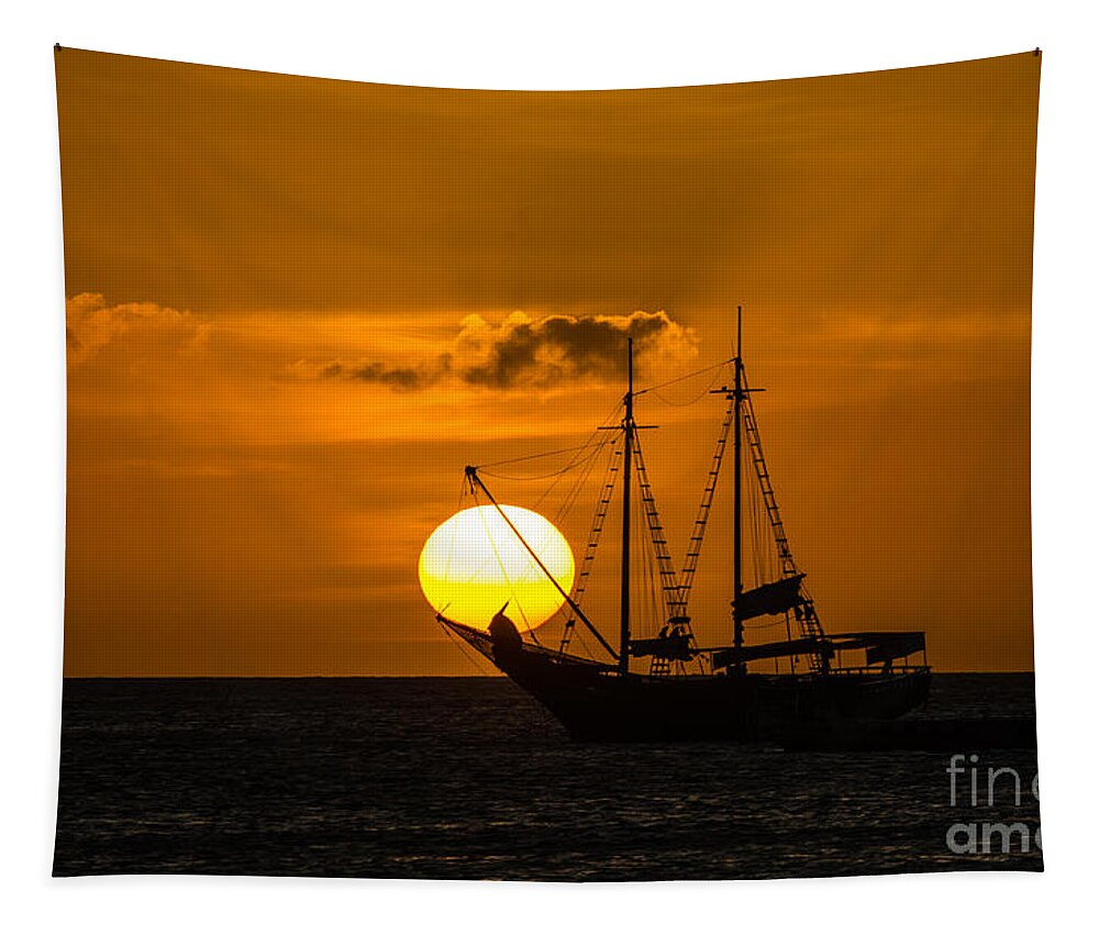 Aruba Tapestry featuring the photograph Balancing Act 2 by Judy Wolinsky