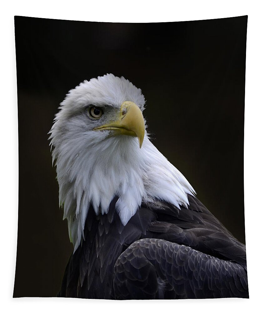 Wilds Tapestry featuring the photograph Bald Eagle by Ann Bridges