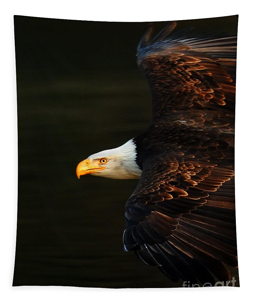 Eagle Tapestry featuring the photograph Bald Eagle In Flight by Bob Christopher