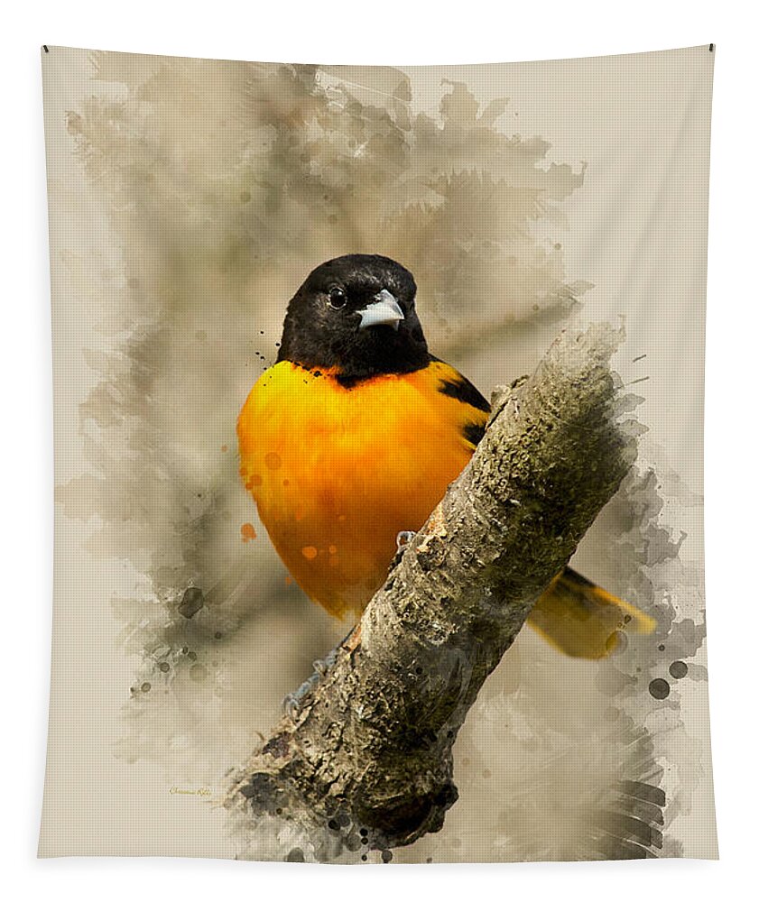 Baltimore Oriole Tapestry featuring the mixed media Baltimore Oriole Watercolor Art by Christina Rollo