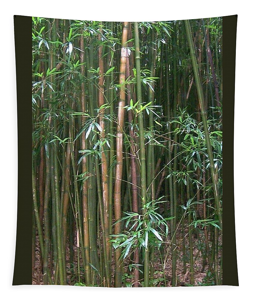  Tapestry featuring the photograph Bamboo Forest by Cornelia DeDona