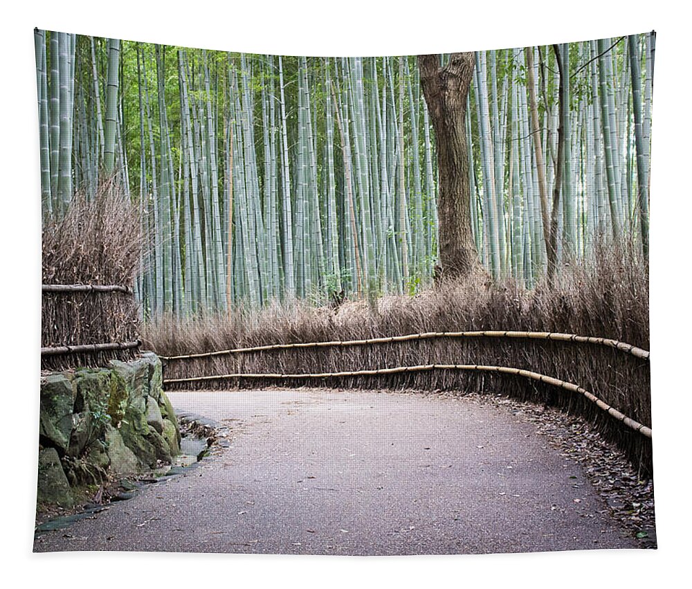 Bamboo Tapestry featuring the photograph Bamboo Path by Christie Kowalski