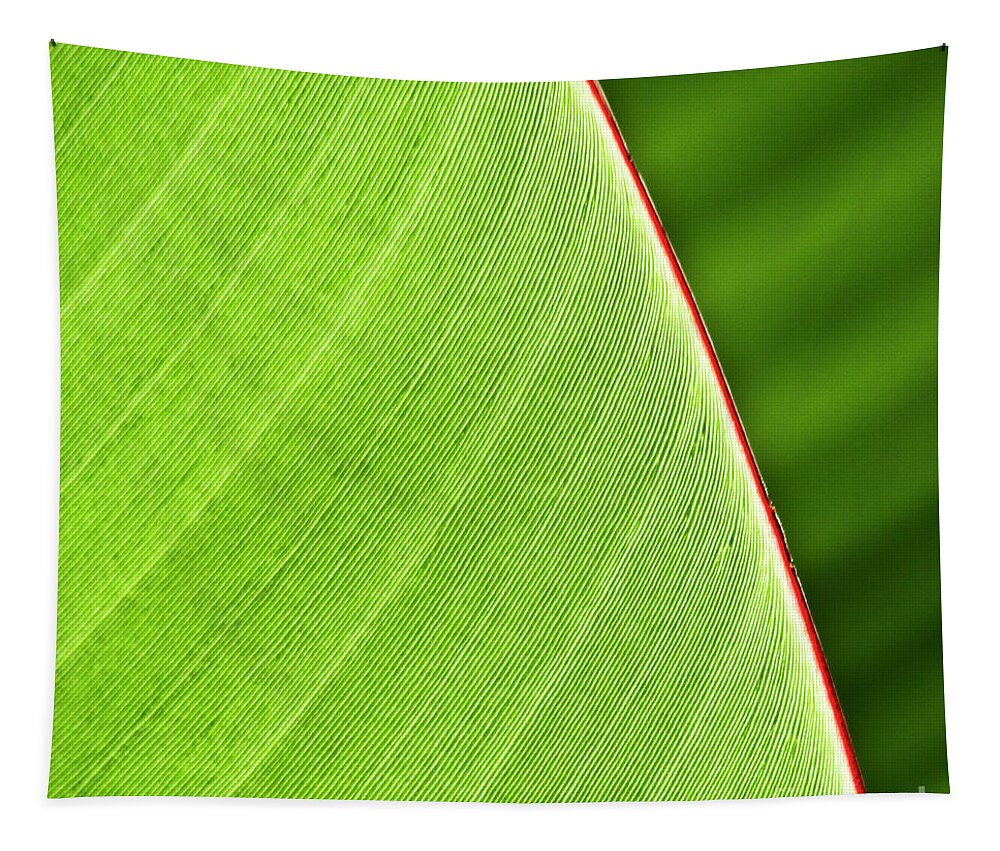 Leaf Tapestry featuring the photograph Banana Leaf by Heiko Koehrer-Wagner