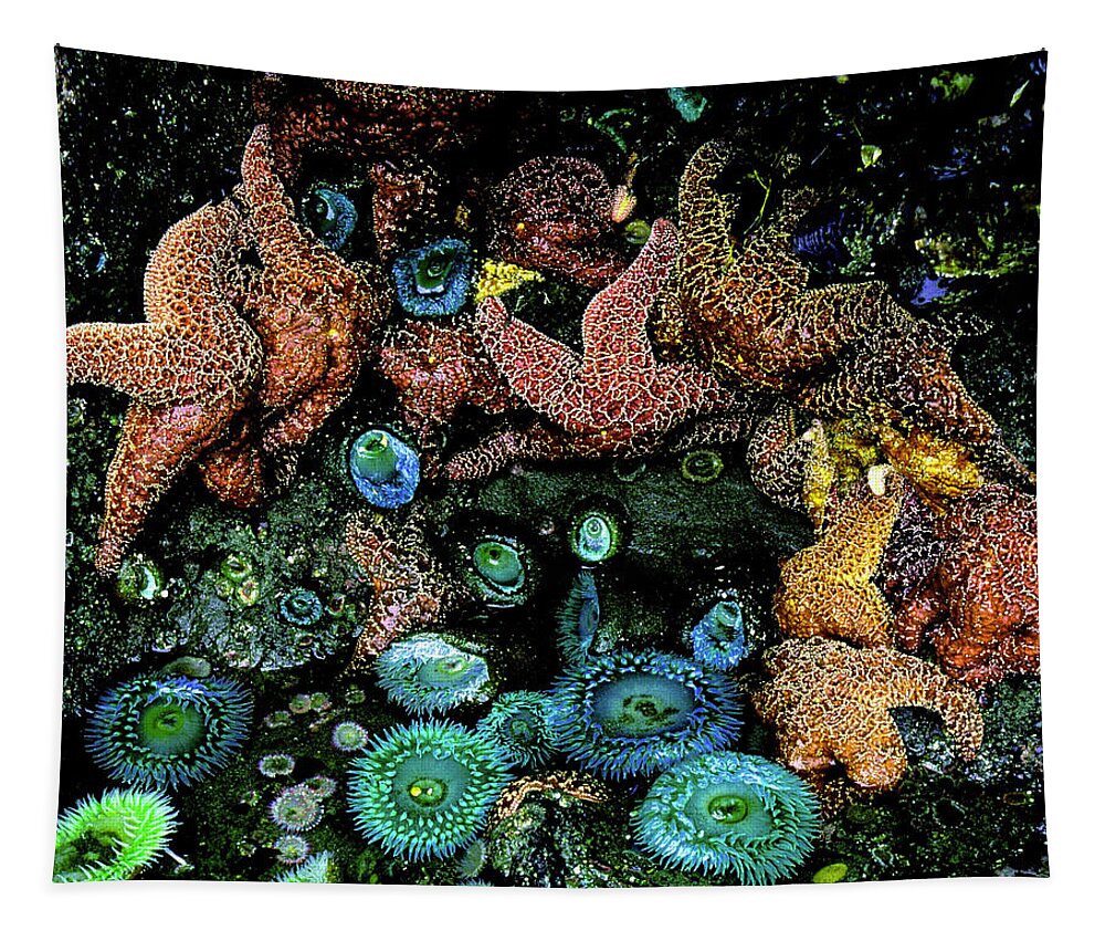 Pacific Ocean Tapestry featuring the photograph Bandon Beach Oregon Pacific Tidal Pool by Ed Riche