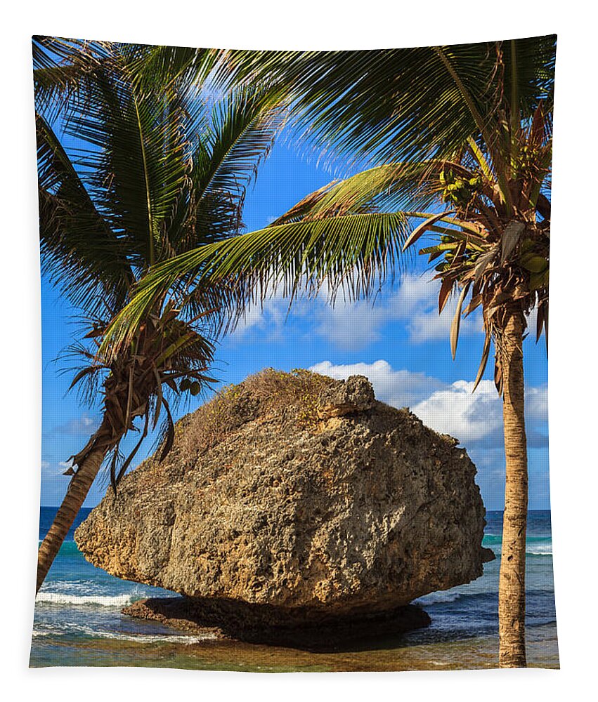 Barbados Tapestry featuring the photograph Barbados Beach by Raul Rodriguez