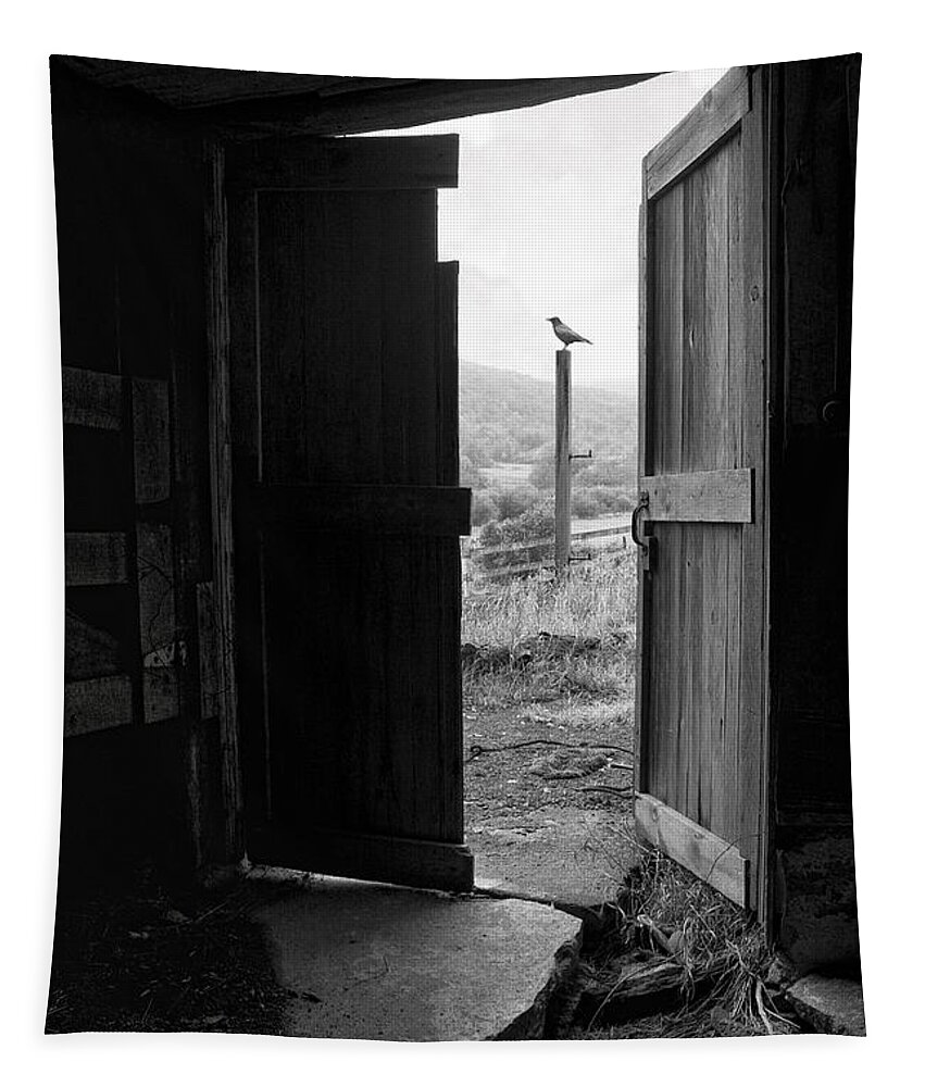 Black And White Tapestry featuring the photograph Barn Door - View from within - Old barn picture by Gary Heller