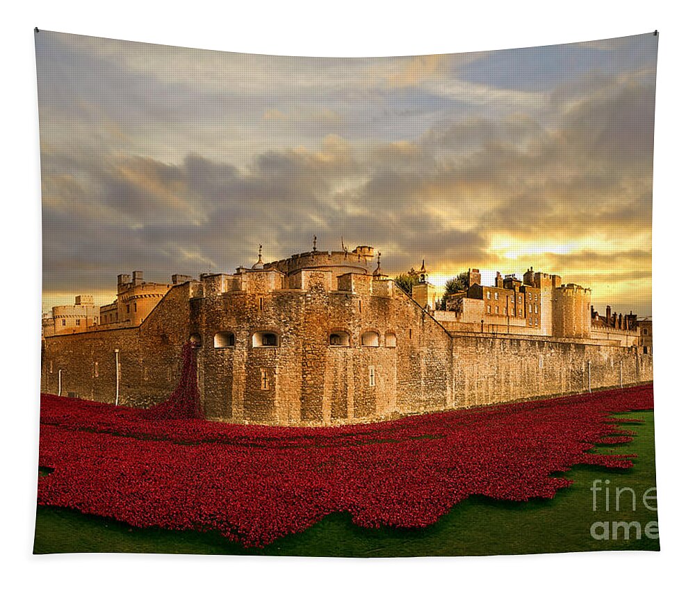 Poppies Tapestry featuring the digital art Bathed in Gold by Airpower Art