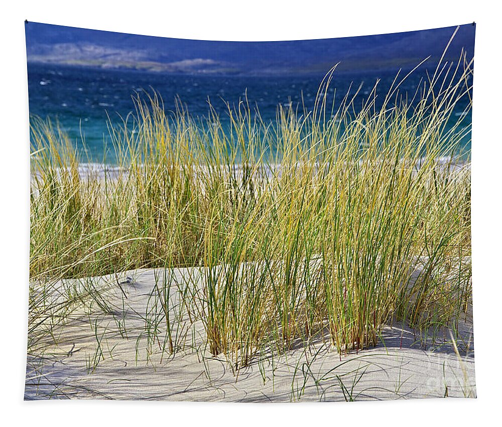 Beach Tapestry featuring the photograph Beach Gras by Juergen Klust