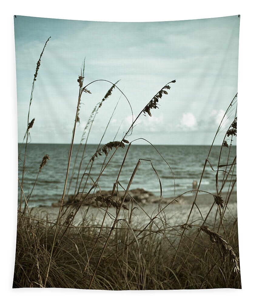 Deerfield Beach Tapestry featuring the photograph Beach Grass Oats by Janis Lee Colon