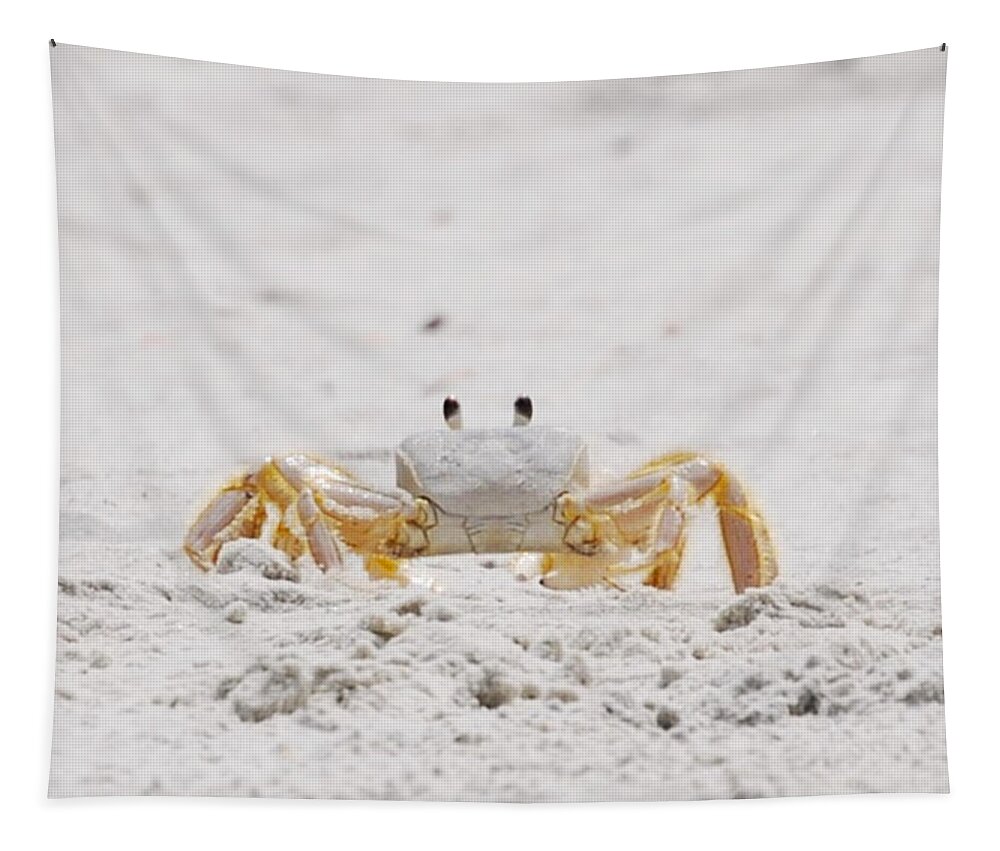 Crab Tapestry featuring the photograph Beach Guard by Judy Hall-Folde