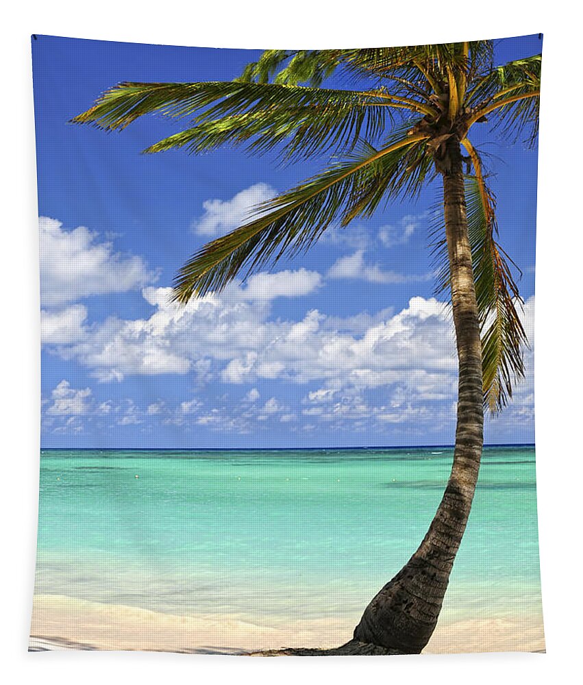 Beach Tapestry featuring the photograph Beach of a tropical island by Elena Elisseeva
