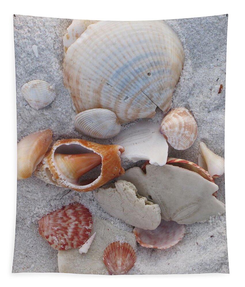 Shells Tapestry featuring the photograph Beach Treasures 2 by Megan Cohen