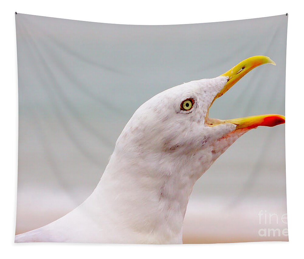 Hungry Seagull Tapestry featuring the photograph Beak by Jeremy Hayden