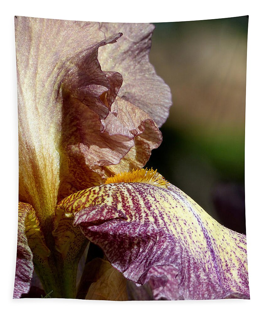Iris Tapestry featuring the photograph Bearded Iris #1 by Ann Ranlett