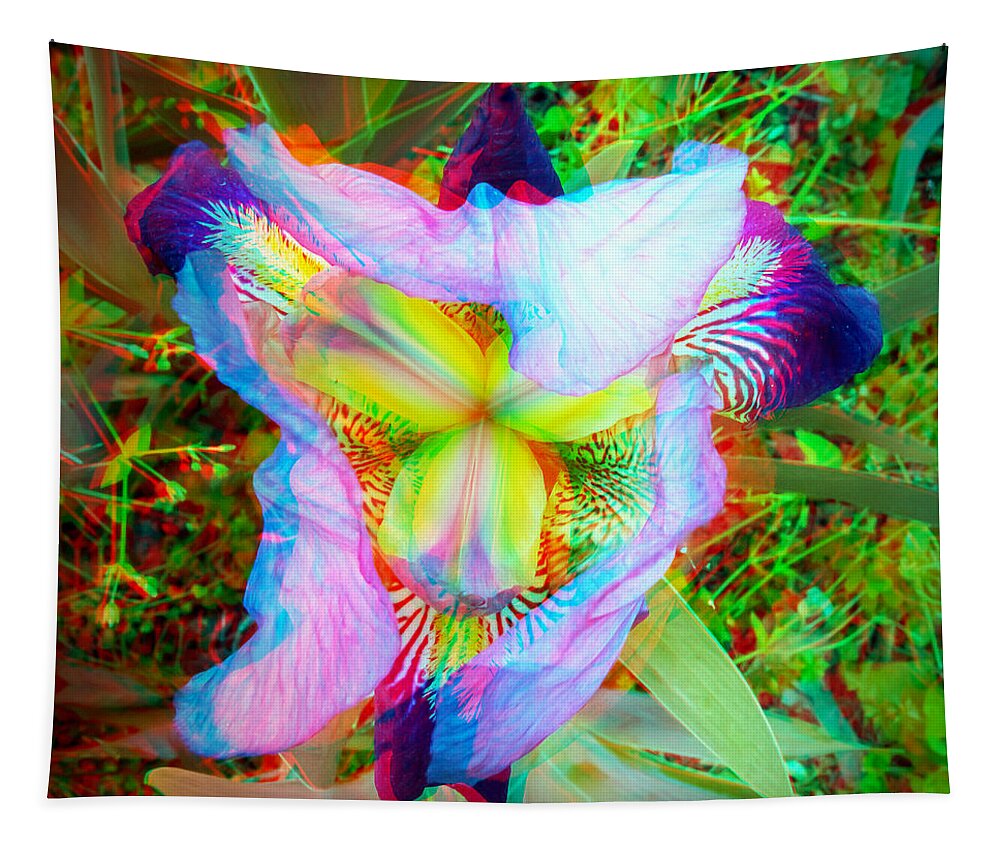 3d Tapestry featuring the photograph Bearded Iris Cultivar - Use Red-Cyan 3D Glasses by Brian Wallace
