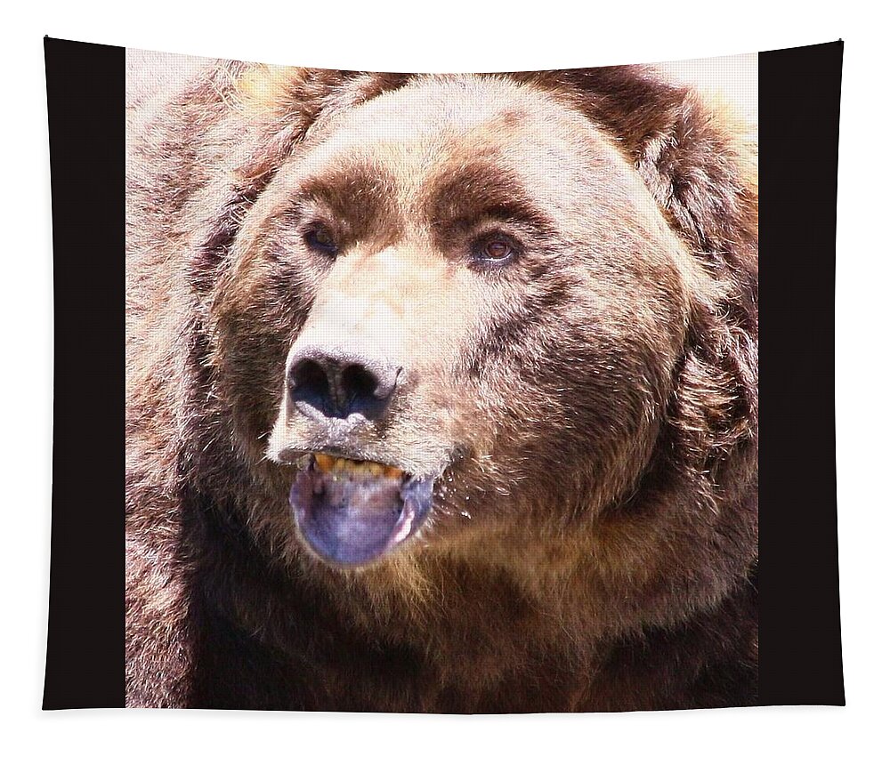 Grizzly Tapestry featuring the photograph Bearing My Teeth by Shane Bechler