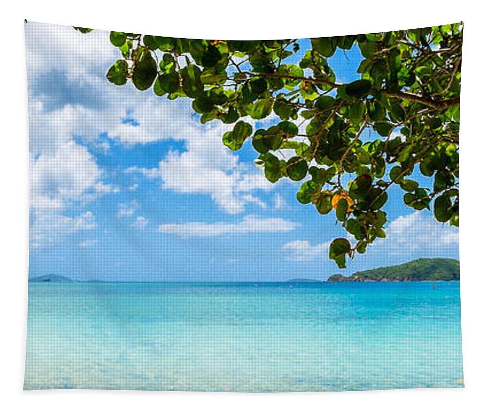 Caribbean Tapestry featuring the photograph Beautiful Caribbean beach by Raul Rodriguez