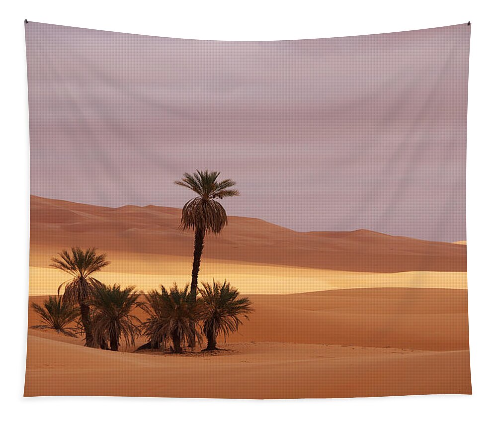 Desert Tapestry featuring the photograph Beautiful desert by Ivan Slosar