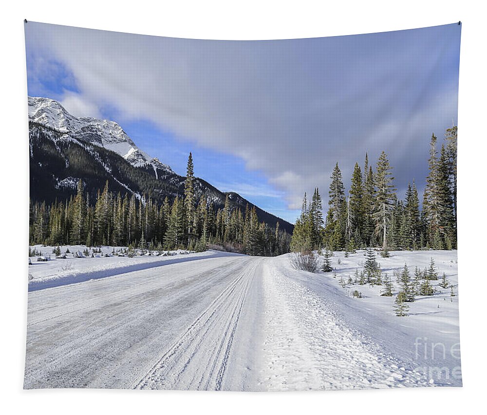 Banff Tapestry featuring the photograph Beautiful Ride by Evelina Kremsdorf