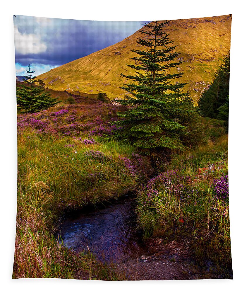 Nature Tapestry featuring the photograph Beauty all Around. Rest and Be Thankful. Scotland by Jenny Rainbow