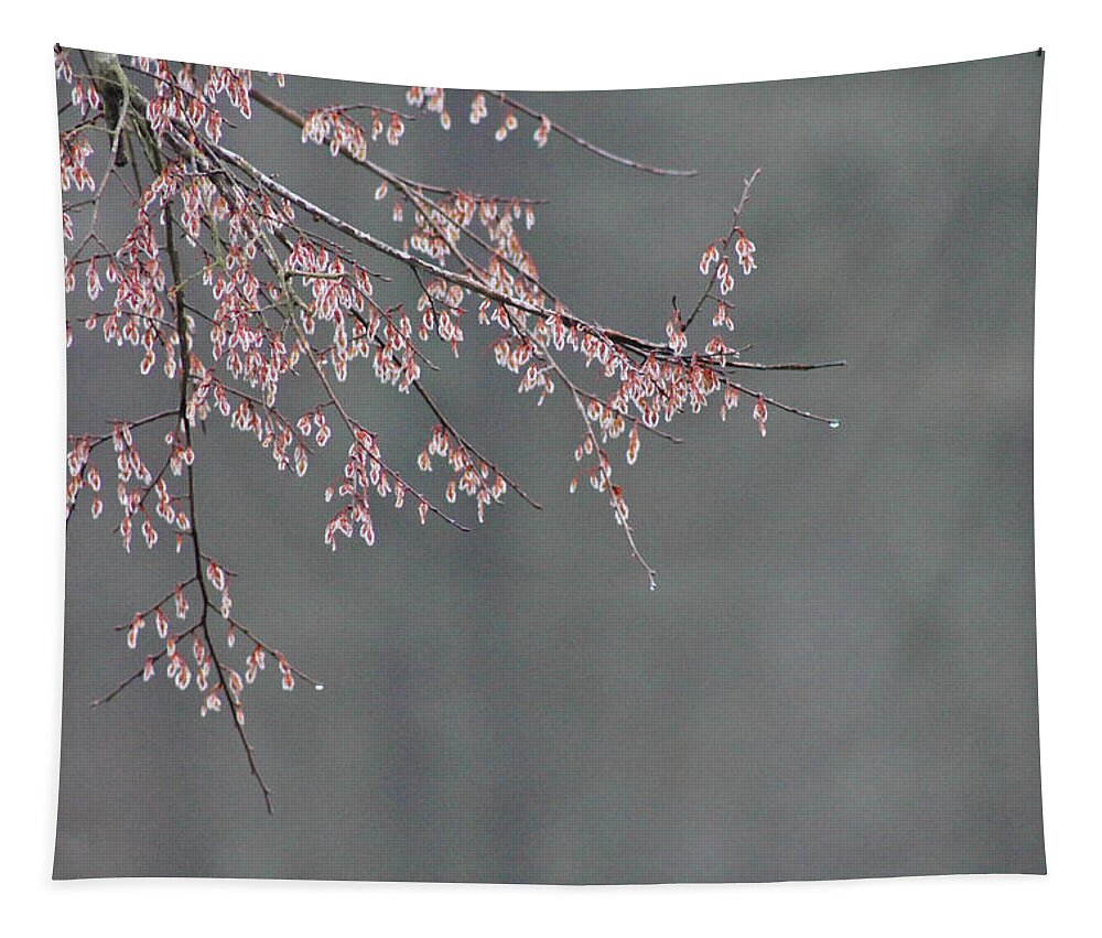 Tree Tapestry featuring the photograph Beauty Awaiting by Jessica Brown