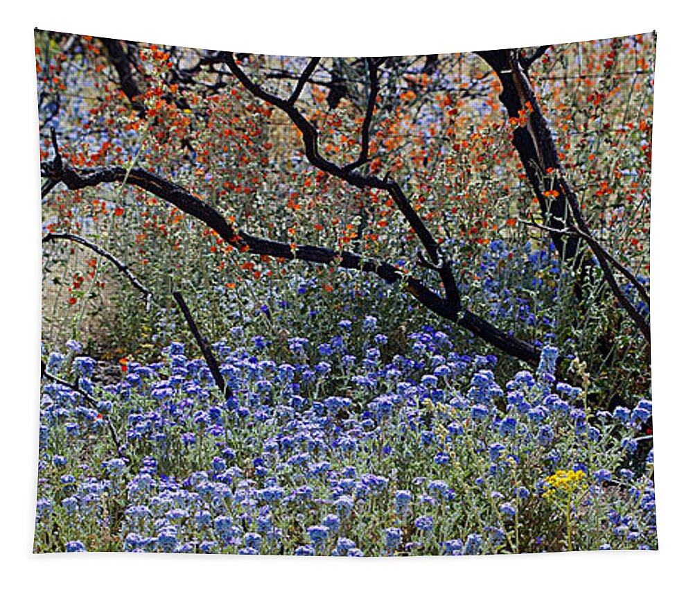 Flowers Tapestry featuring the photograph Beauty For Ashes by Phyllis Denton