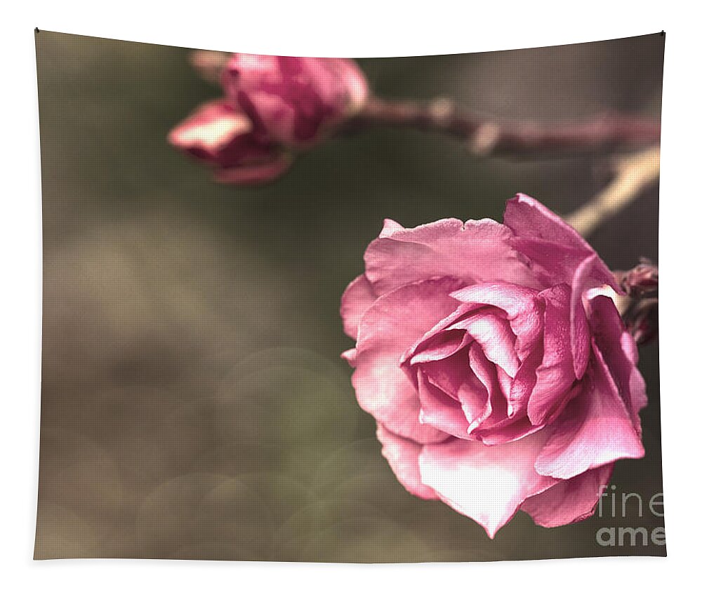 Pink Tapestry featuring the photograph Beauty is a Light in the Heart by Linda Lees