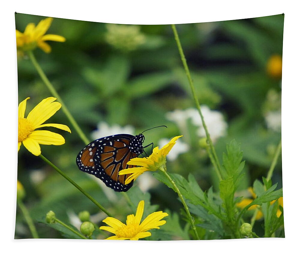 Butterfly On A Flower Tapestry featuring the photograph Beauty of Spring by Laurie Perry