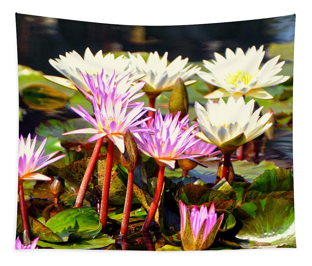 Flowers Tapestry featuring the photograph Beauty on the Water by Marty Koch