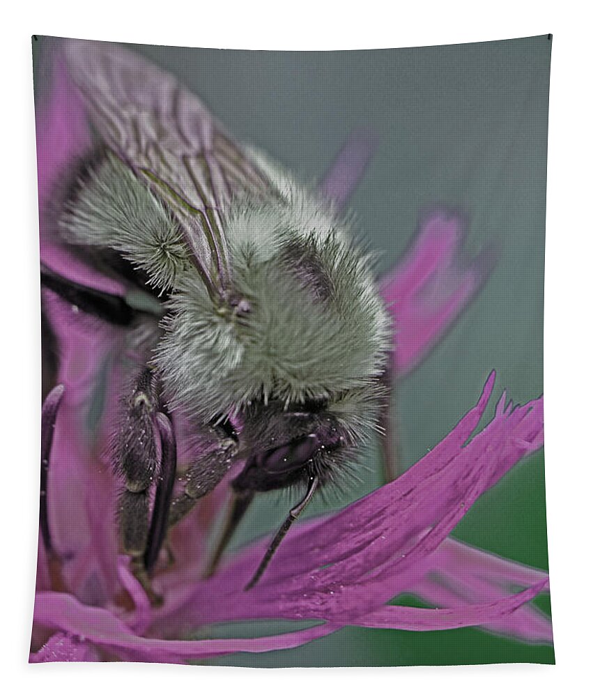 Insects Tapestry featuring the photograph Bee Calm by Jennifer Robin
