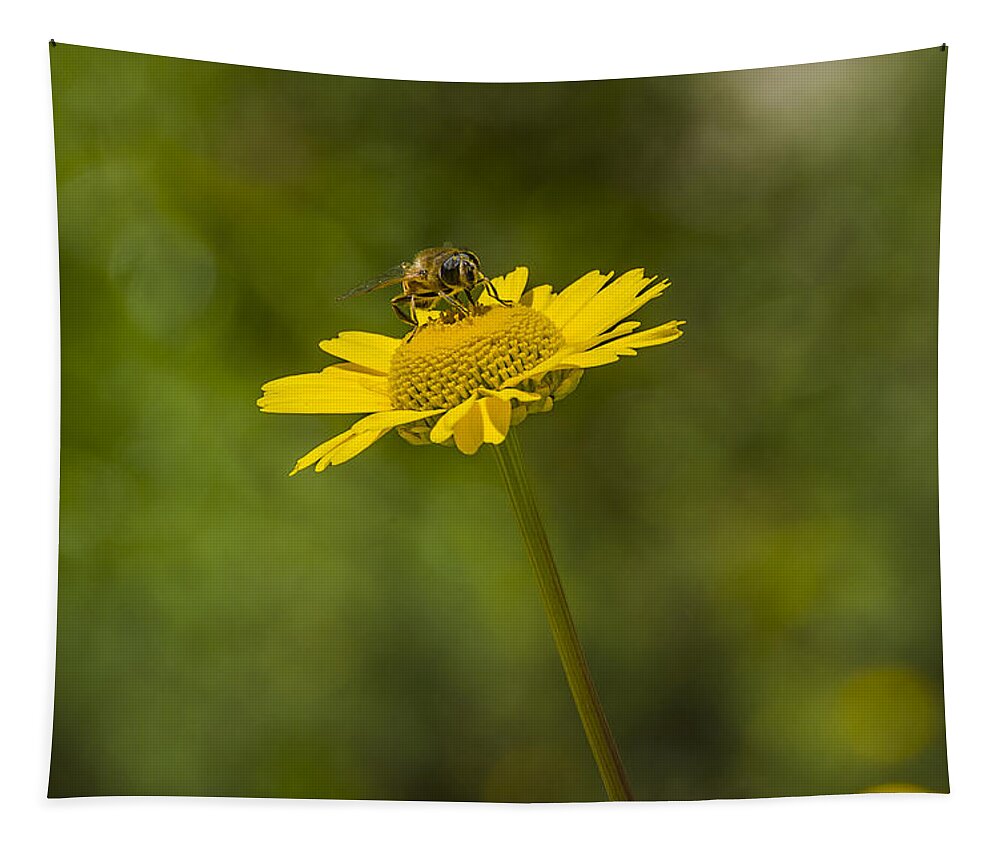 Insect Tapestry featuring the photograph Bee on flower by Paulo Goncalves