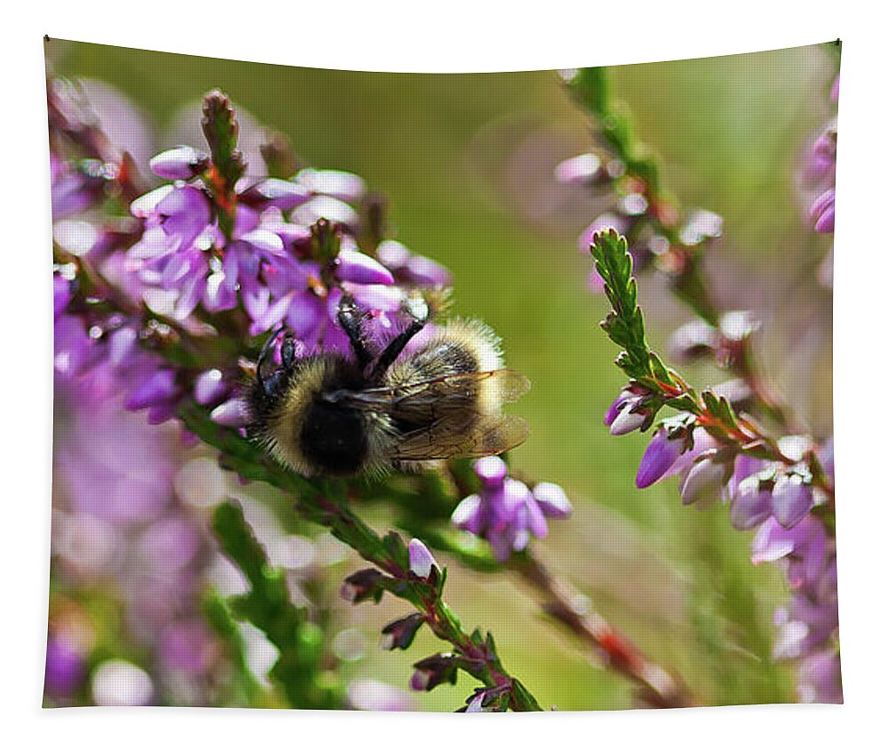 Animal Tapestry featuring the photograph Bee on heather by Roberto Pagani